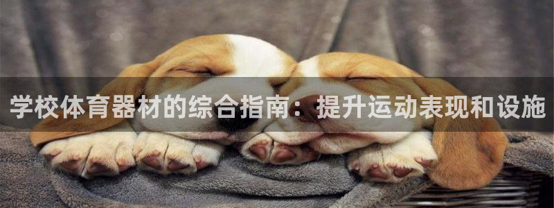 极悦娱乐官网客服联系方式是什么:学校体育器材的综合指南:提升