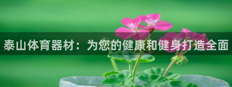 极悦娱乐成7O777:泰山体育器材:为您的健康和健身打造全面