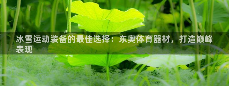 极悦平台平台注册方法与步骤是什么:冰雪运动装备的最佳选择:东