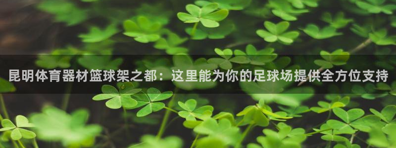 极悦平台登录入口注册:昆明体育器材篮球架之都:这里能为你的足
