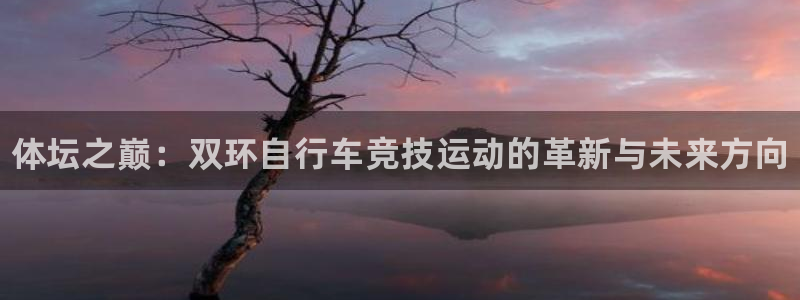 极悦官方网站入口网址是什么:体坛之巅:双环自行车竞技运动的革