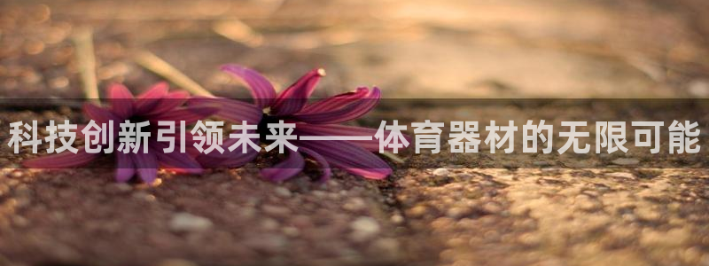 极悦平台注册用户名格式:科技创新引领未来——体育器材的无限可